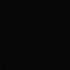 viipviip10