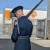 chaddavis983