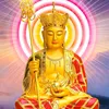 thuyduy0307