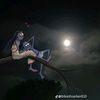 rubelmiagmail.com