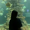tus_quyen42