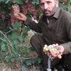 zorawarshah2