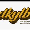 dkylb.com