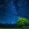 boy_n_a6
