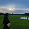ailopuu_