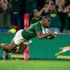bokke_23