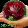 user5996851026117