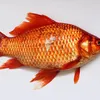 linhngan12340