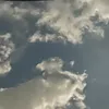 ictiko_raiti