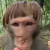 zezindamang