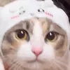 baby_peach89
