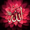 user21276635879616