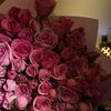 dr.haifa3