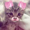 natzzl_