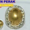 besikuning758