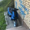not_aness