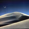 leesshadows