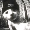 mrz_211