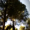 julia_blond