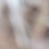 72736372user