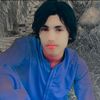 haleemzehri1