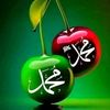 sababasharat456