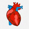 alqoranalkarimtiktok.com