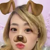 meidragon33