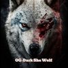 darkshewolfstudio787