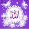 zainabalganabee