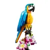 exotic_parrot