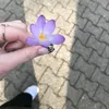 sfuwi