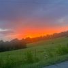james_saleeba35