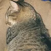 sah_12309