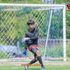 werpat_38