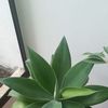 williamquevedo71