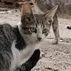user9hzj3jrrjh