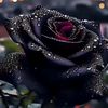 3enad_._