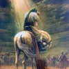 haidermustafa171