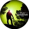 wildlivephoto