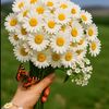 user8cfvkh141r