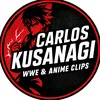 carloskusanagii