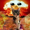 frogdogkat