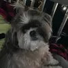 murphysmom65