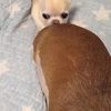 zosofu
