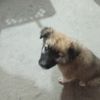 filenacerezogamil.com