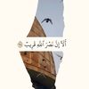 user6513086624992