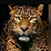 user121176070