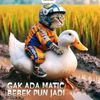 djokopriyono485gmail.com