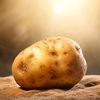 notsoschizophrenicpotato